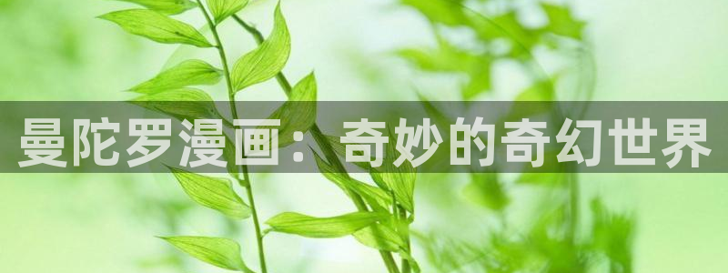 漫画免费韩漫无：曼陀罗漫画：奇妙的奇幻世界