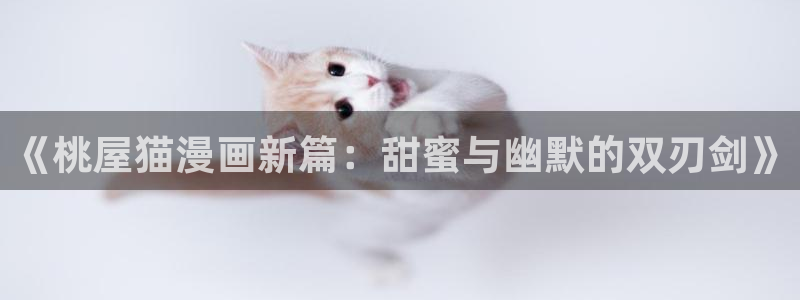 韩漫下拉式在线阅读漫画：《桃屋猫漫画新篇：甜蜜与幽默的双刃剑》