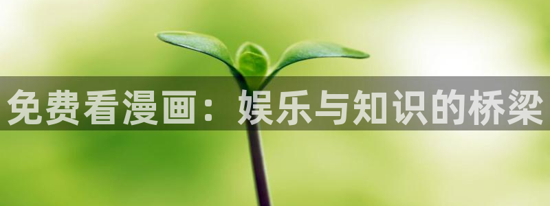 歪歪韩漫漫画首页入口：免费看漫画：娱乐与知识的桥梁