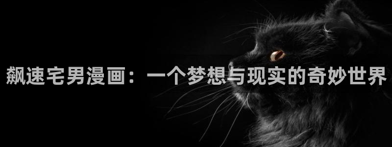 韩漫画全免费：飙速宅男漫画：一个梦想与现实的奇妙世界