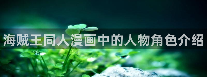 韩漫言情免费观看在线阅读漫画全集：海贼王同人漫画中的人物角色介绍