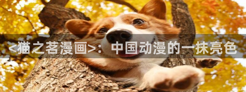 韩漫阅读网站：<猫之茗漫画>：中国动漫的一抹亮色