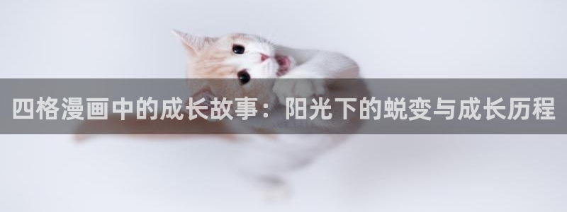 3d漫画韩漫在线观看免费：四格漫画中的成长故事：阳光下的蜕变与成长历程