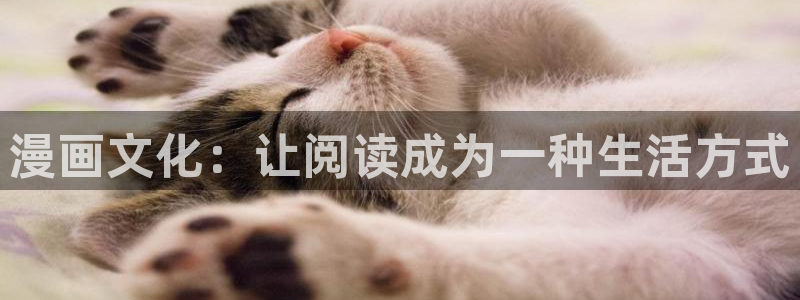 韩漫杨乔安是什么漫画里的：漫画文化：让阅读成为一种生活方式